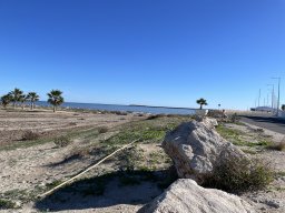 226-11-01-2026 IMG_6532